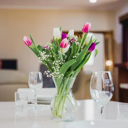 Apartmaji Riko شقة *